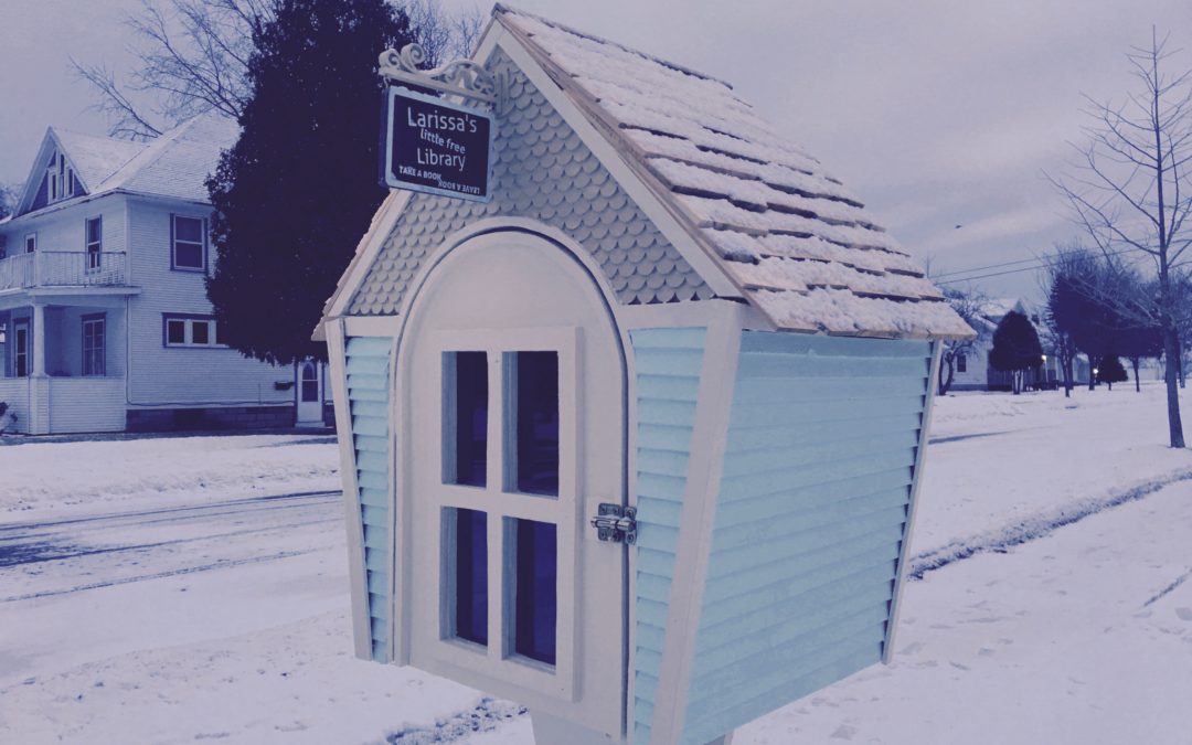 LITTLE FREE LIBRARY – A X-MAS GIFT